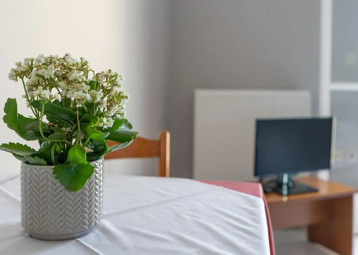 Ammousa Aparthotel Lixouri